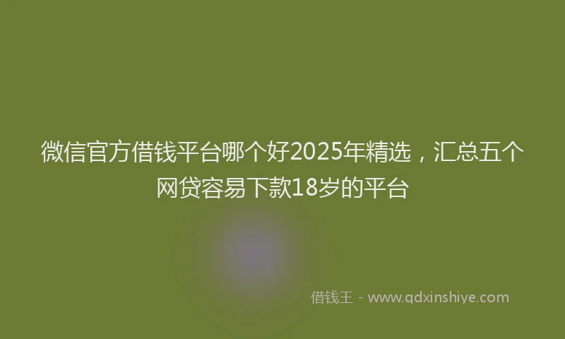 微信官方借钱平台哪个好2025年精选，汇总五个网贷容易下款18岁的平台