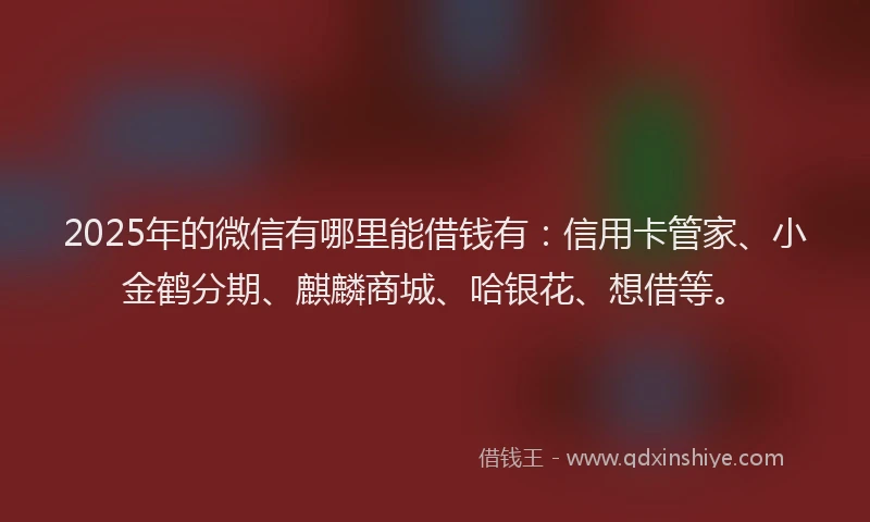 2025年的微信有哪里能借钱有：信用卡管家、小金鹤分期、麒麟商城、哈银花、想借等。