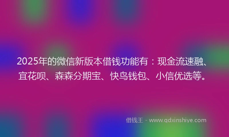 2025年的微信新版本借钱功能有：现金流速融、宜花呗、森森分期宝、快鸟钱包、小信优选等。