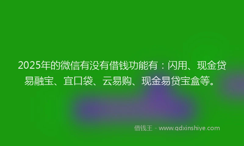 2025年的微信有没有借钱功能有：闪用、现金贷易融宝、宜口袋、云易购、现金易贷宝盒等。