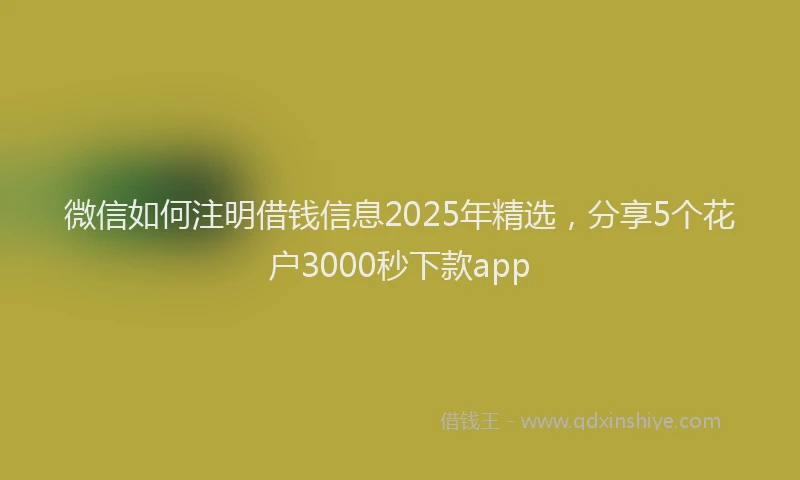 微信如何注明借钱信息2025年精选，分享5个花户3000秒下款app