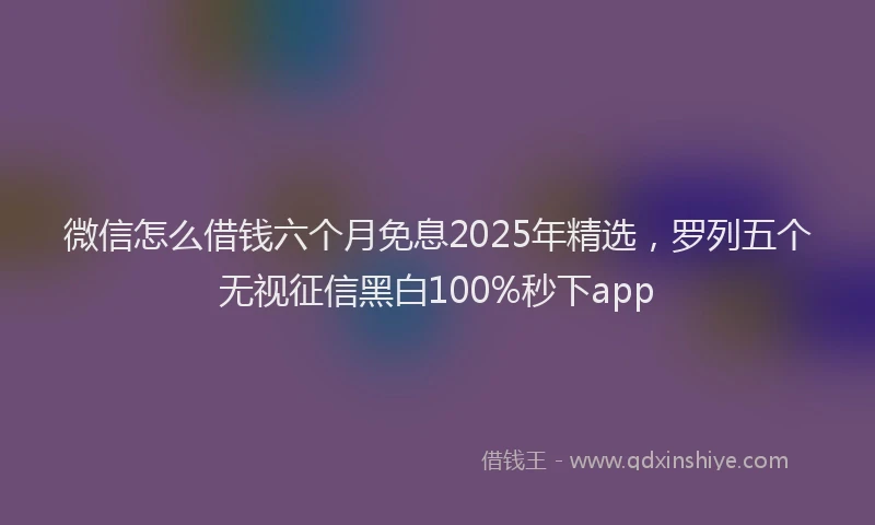 微信怎么借钱六个月免息2025年精选，罗列五个无视征信黑白100%秒下app