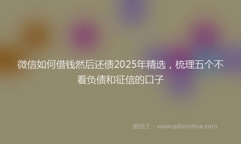 微信如何借钱然后还债2025年精选，梳理五个不看负债和征信的口子