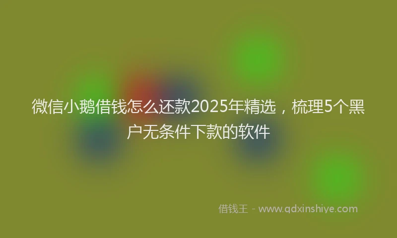 微信小鹅借钱怎么还款2025年精选，梳理5个黑户无条件下款的软件