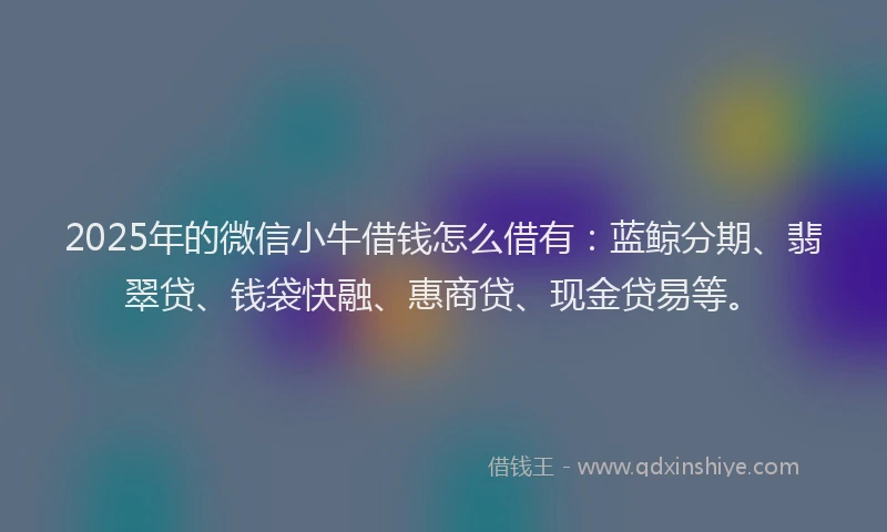 2025年的微信小牛借钱怎么借有：蓝鲸分期、翡翠贷、钱袋快融、惠商贷、现金贷易等。