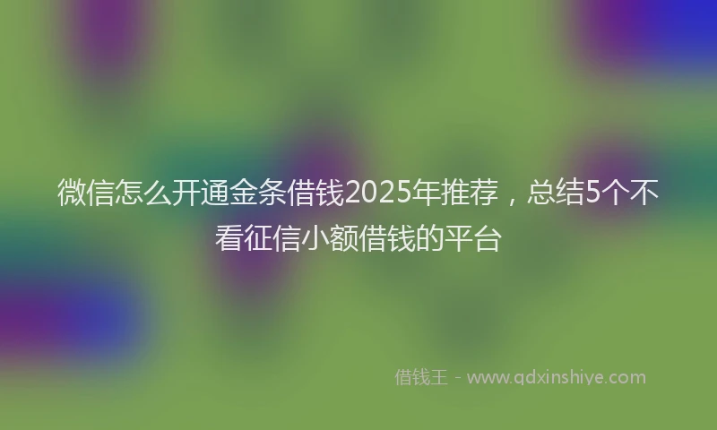 微信怎么开通金条借钱2025年推荐，总结5个不看征信小额借钱的平台