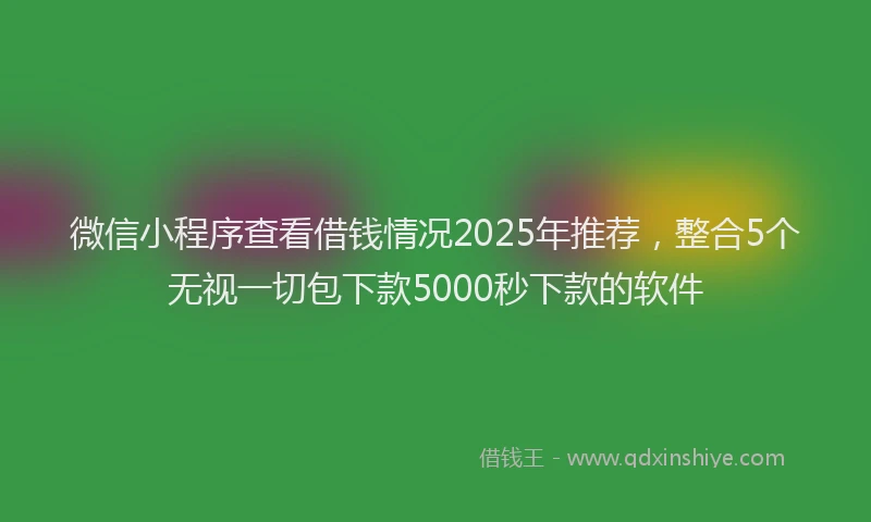 微信小程序查看借钱情况2025年推荐，整合5个无视一切包下款5000秒下款的软件