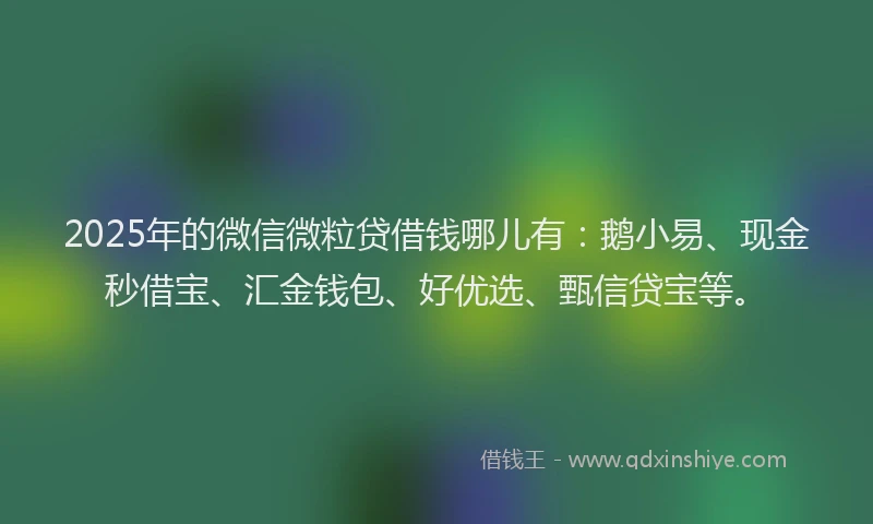 2025年的微信微粒贷借钱哪儿有：鹅小易、现金秒借宝、汇金钱包、好优选、甄信贷宝等。