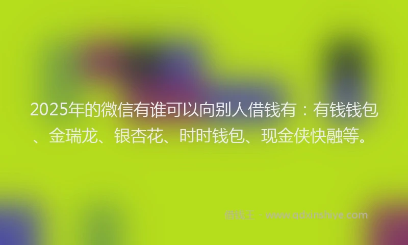 2025年的微信有谁可以向别人借钱有：有钱钱包、金瑞龙、银杏花、时时钱包、现金侠快融等。