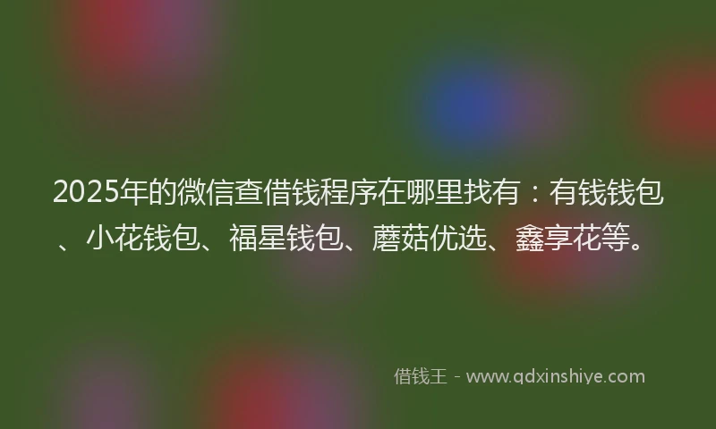 2025年的微信查借钱程序在哪里找有：有钱钱包、小花钱包、福星钱包、蘑菇优选、鑫享花等。