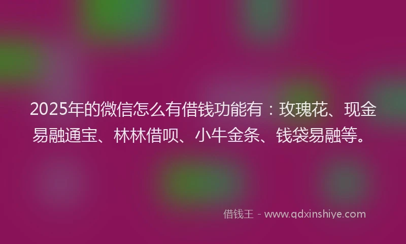 2025年的微信怎么有借钱功能有：玫瑰花、现金易融通宝、林林借呗、小牛金条、钱袋易融等。