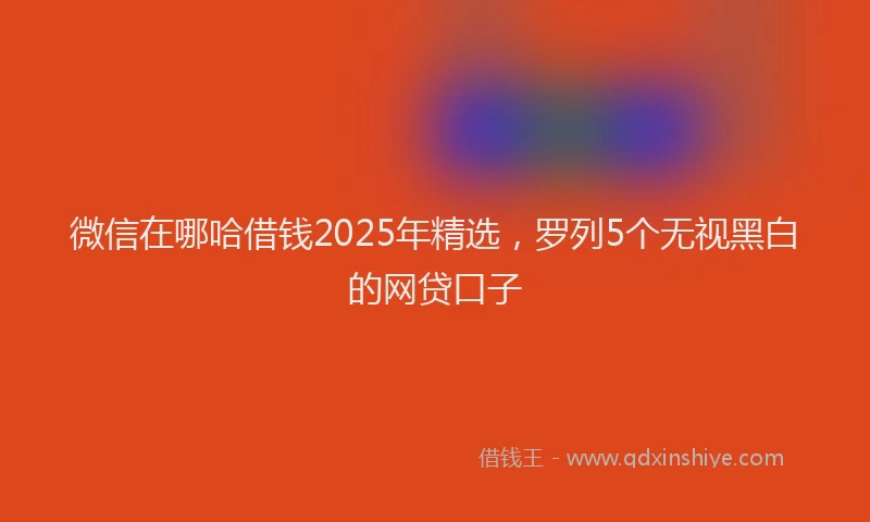 微信在哪哈借钱2025年精选，罗列5个无视黑白的网贷口子