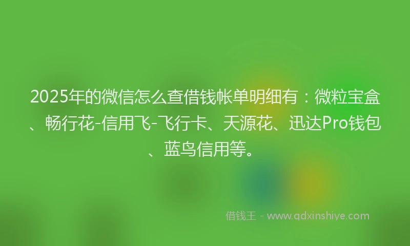 2025年的微信怎么查借钱帐单明细有：微粒宝盒、畅行花-信用飞-飞行卡、天源花、迅达Pro钱包、蓝鸟信用等。