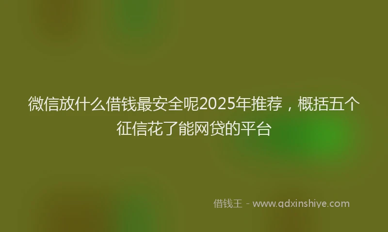 微信放什么借钱最安全呢2025年推荐，概括五个征信花了能网贷的平台