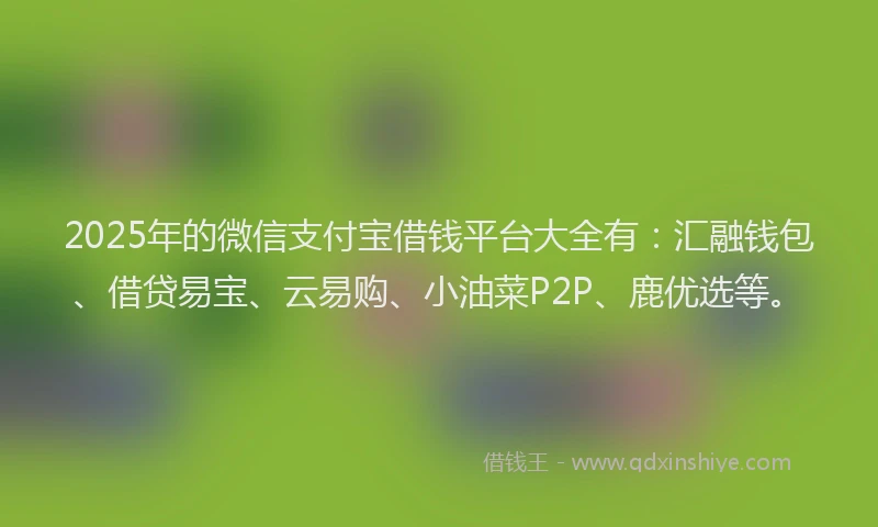2025年的微信支付宝借钱平台大全有：汇融钱包、借贷易宝、云易购、小油菜P2P、鹿优选等。
