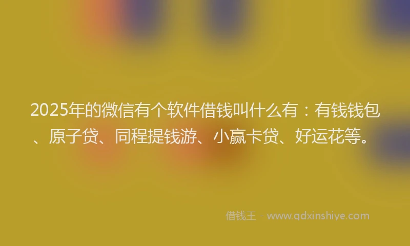 2025年的微信有个软件借钱叫什么有：有钱钱包、原子贷、同程提钱游、小赢卡贷、好运花等。