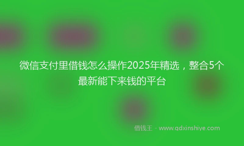微信支付里借钱怎么操作2025年精选，整合5个最新能下来钱的平台