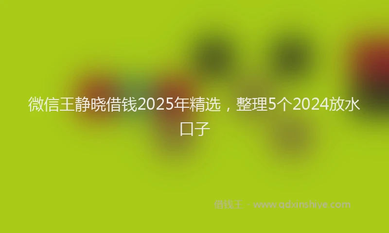 微信王静晓借钱2025年精选，整理5个2024放水口子