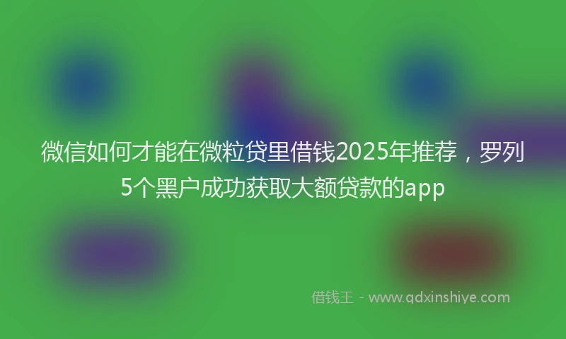 微信如何才能在微粒贷里借钱2025年推荐，罗列5个黑户成功获取大额贷款的app