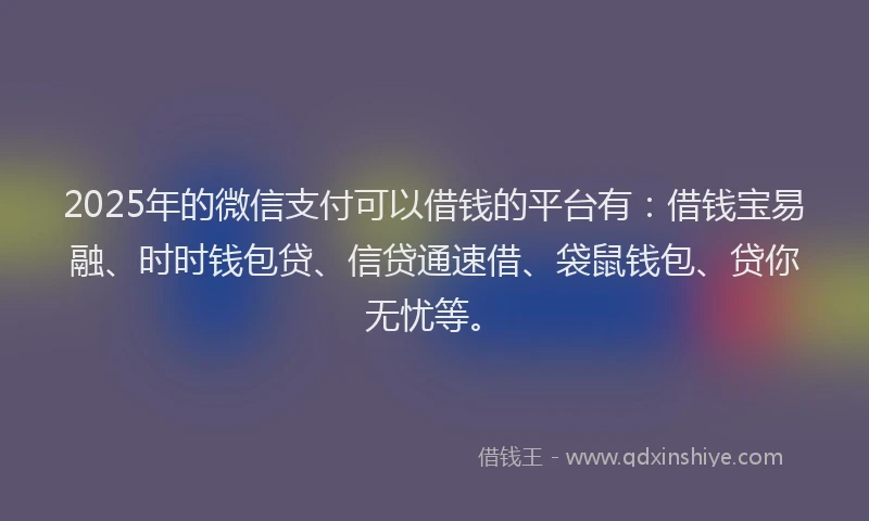 2025年的微信支付可以借钱的平台有：借钱宝易融、时时钱包贷、信贷通速借、袋鼠钱包、贷你无忧等。