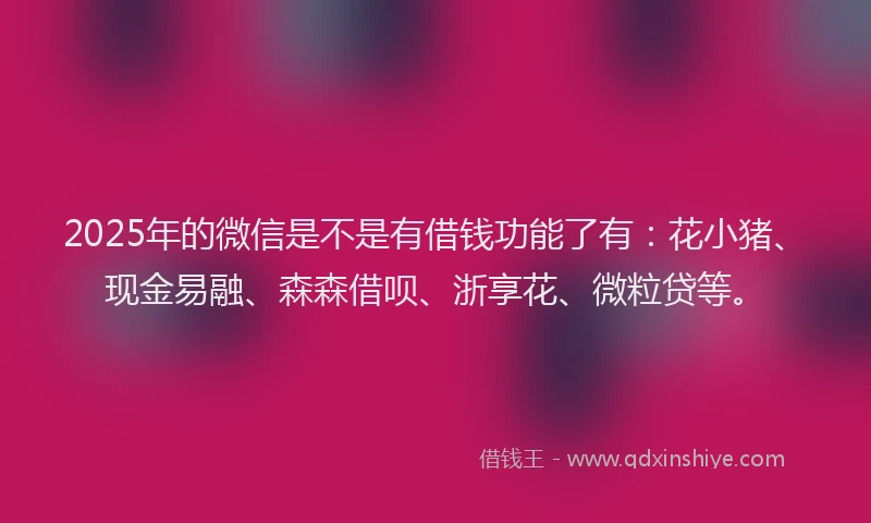 2025年的微信是不是有借钱功能了有：花小猪、现金易融、森森借呗、浙享花、微粒贷等。