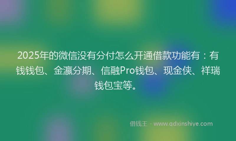 2025年的微信没有分付怎么开通借款功能有：有钱钱包、金瀛分期、信融Pro钱包、现金侠、祥瑞钱包宝等。
