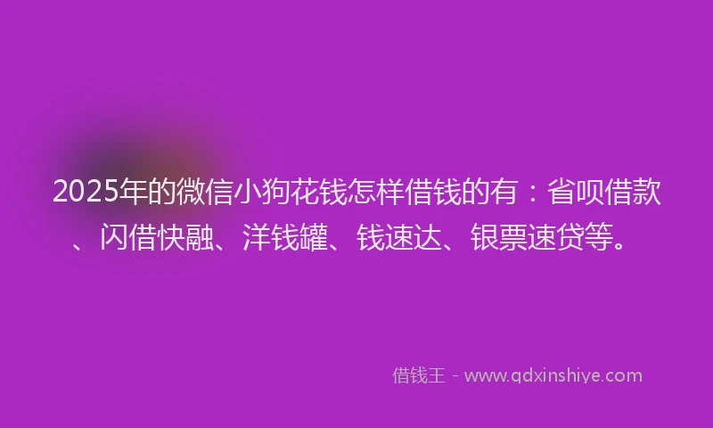 2025年的微信小狗花钱怎样借钱的有：省呗借款、闪借快融、洋钱罐、钱速达、银票速贷等。