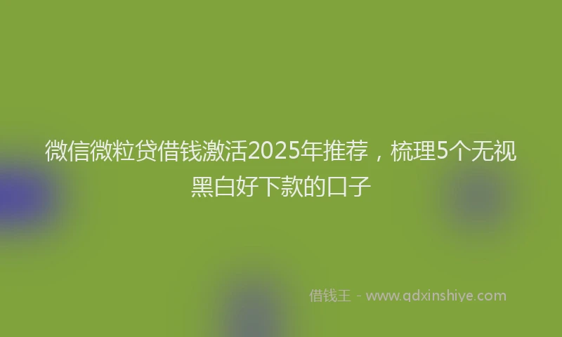 微信微粒贷借钱激活2025年推荐，梳理5个无视黑白好下款的口子