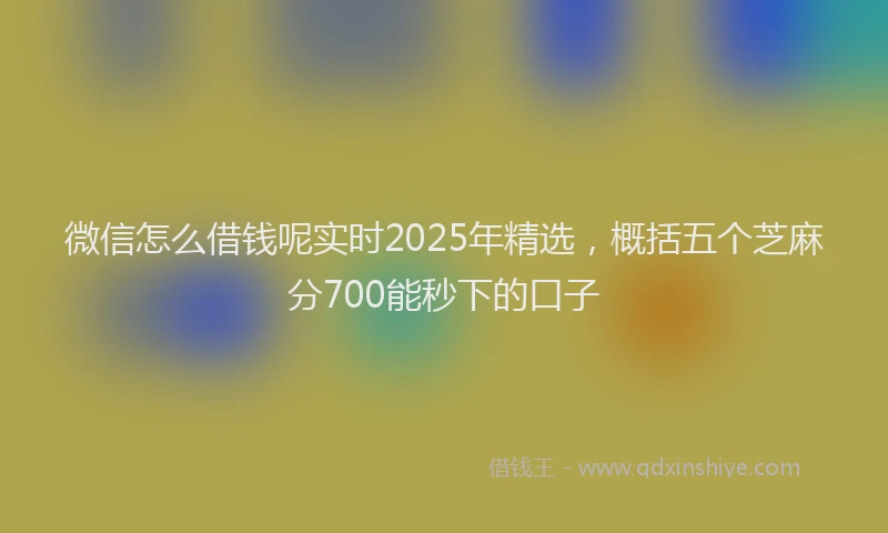 微信怎么借钱呢实时2025年精选，概括五个芝麻分700能秒下的口子