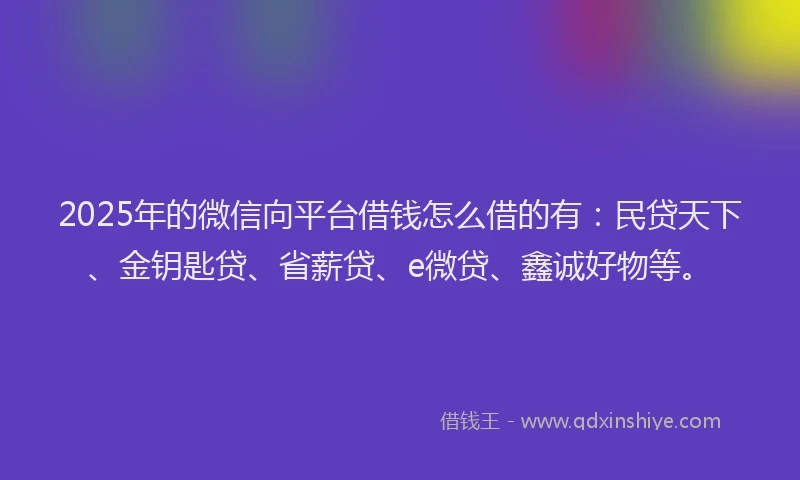 2025年的微信向平台借钱怎么借的有：民贷天下、金钥匙贷、省薪贷、e微贷、鑫诚好物等。