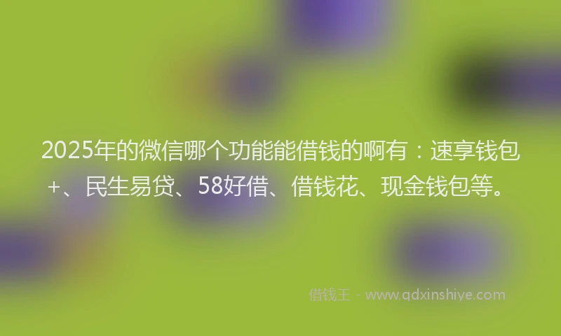 2025年的微信哪个功能能借钱的啊有：速享钱包+、民生易贷、58好借、借钱花、现金钱包等。