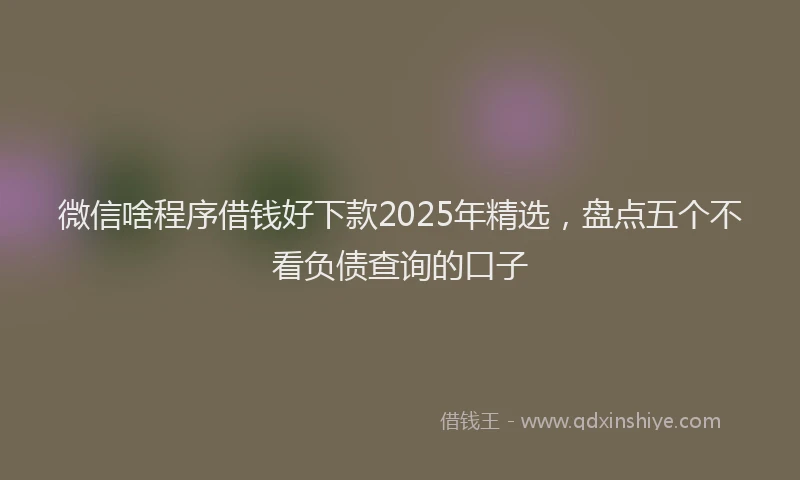 微信啥程序借钱好下款2025年精选，盘点五个不看负债查询的口子