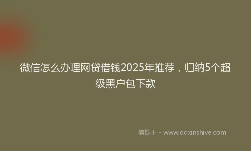 微信怎么办理网贷借钱2025年推荐，归纳5个超级黑户包下款