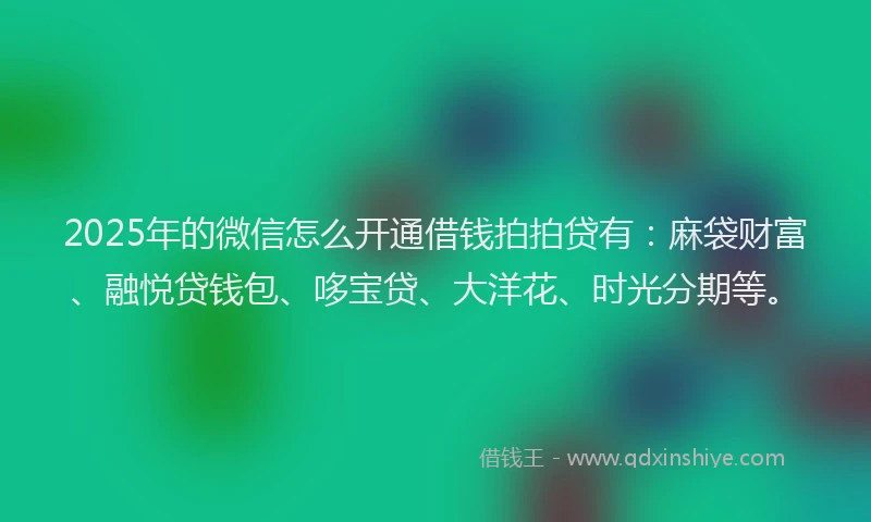 2025年的微信怎么开通借钱拍拍贷有：麻袋财富、融悦贷钱包、哆宝贷、大洋花、时光分期等。