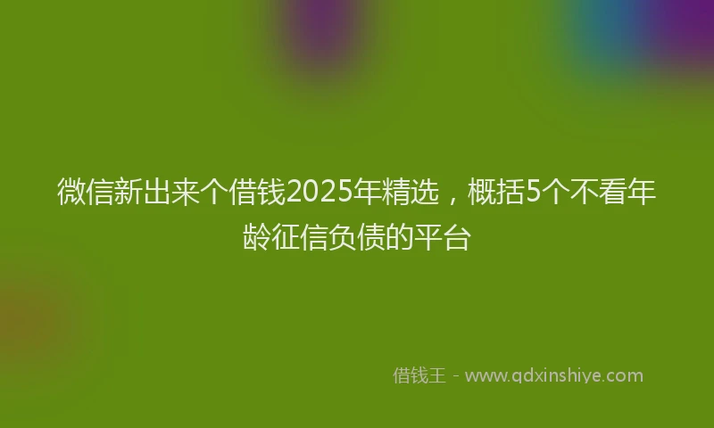 微信新出来个借钱2025年精选，概括5个不看年龄征信负债的平台