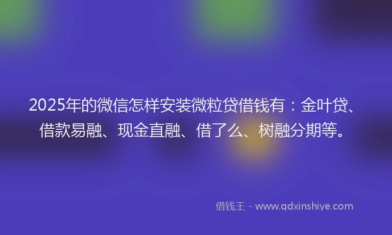 2025年的微信怎样安装微粒贷借钱有：金叶贷、借款易融、现金直融、借了么、树融分期等。