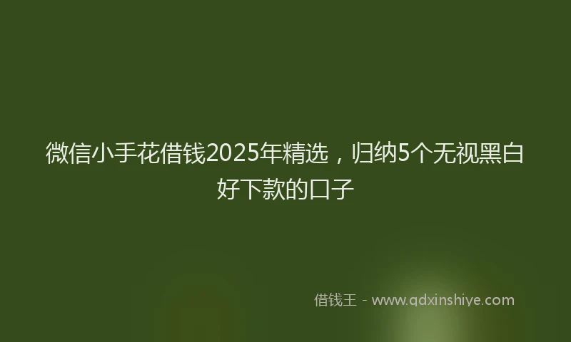 微信小手花借钱2025年精选，归纳5个无视黑白好下款的口子