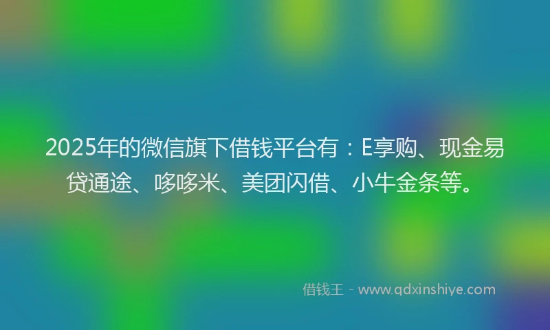 2025年的微信旗下借钱平台有：E享购、现金易贷通途、哆哆米、美团闪借、小牛金条等。