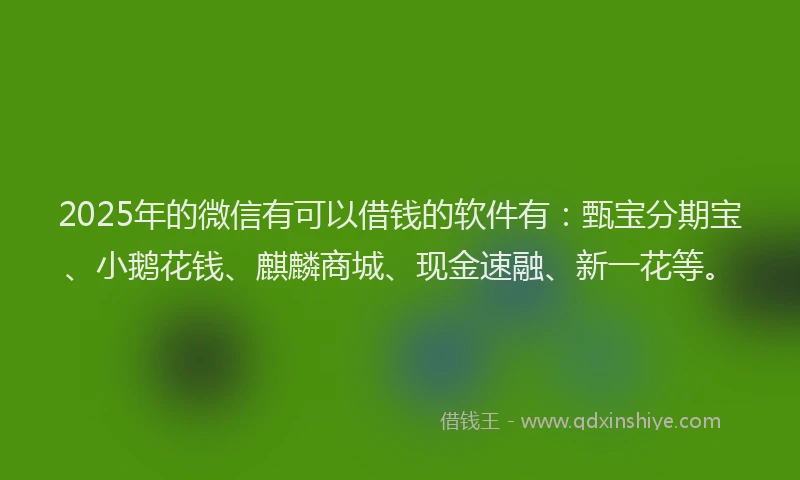 2025年的微信有可以借钱的软件有：甄宝分期宝、小鹅花钱、麒麟商城、现金速融、新一花等。