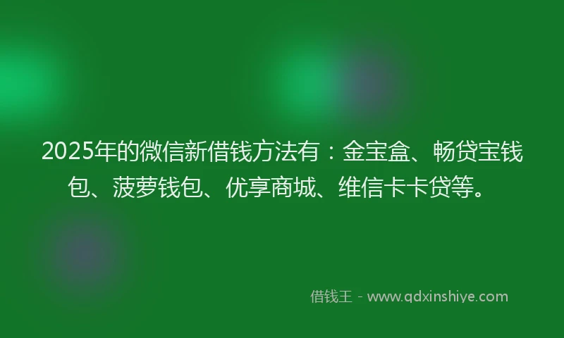 2025年的微信新借钱方法有：金宝盒、畅贷宝钱包、菠萝钱包、优享商城、维信卡卡贷等。