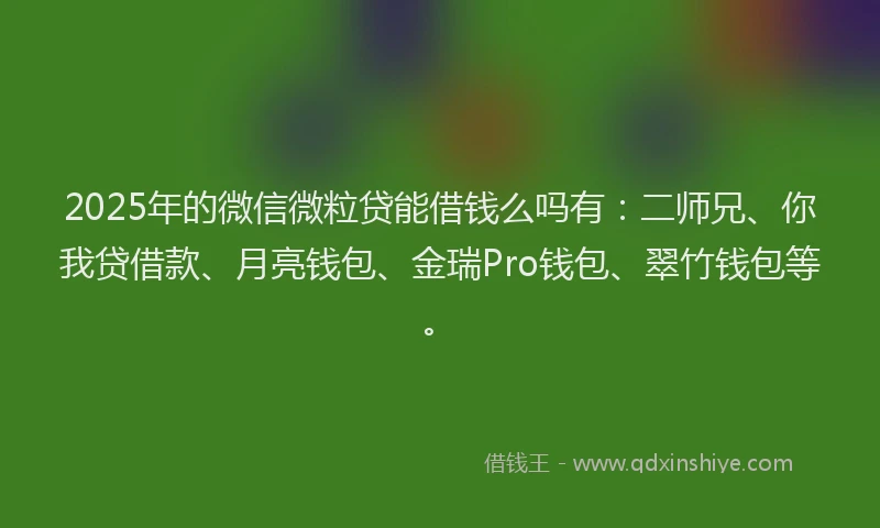 2025年的微信微粒贷能借钱么吗有：二师兄、你我贷借款、月亮钱包、金瑞Pro钱包、翠竹钱包等。