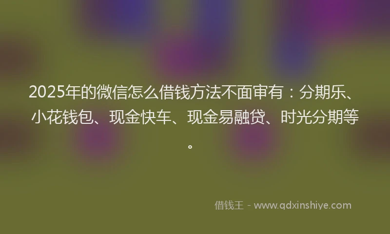 2025年的微信怎么借钱方法不面审有：分期乐、小花钱包、现金快车、现金易融贷、时光分期等。