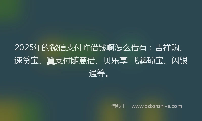 2025年的微信支付咋借钱啊怎么借有:吉祥购、速贷宝、翼支付随意借、贝乐享-飞鑫琼宝、闪银通等。