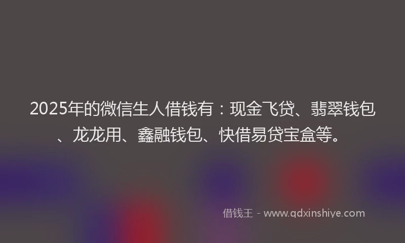 2025年的微信生人借钱有：现金飞贷、翡翠钱包、龙龙用、鑫融钱包、快借易贷宝盒等。