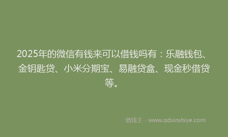2025年的微信有钱来可以借钱吗有：乐融钱包、金钥匙贷、小米分期宝、易融贷盒、现金秒借贷等。
