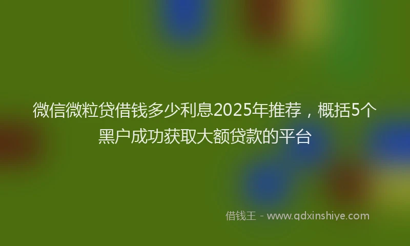微信微粒贷借钱多少利息2025年推荐，概括5个黑户成功获取大额贷款的平台