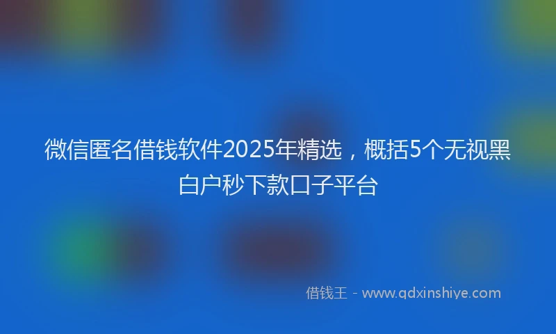 微信匿名借钱软件2025年精选，概括5个无视黑白户秒下款口子平台