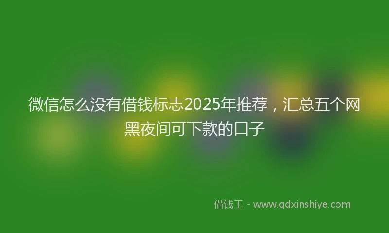 微信怎么没有借钱标志2025年推荐，汇总五个网黑夜间可下款的口子
