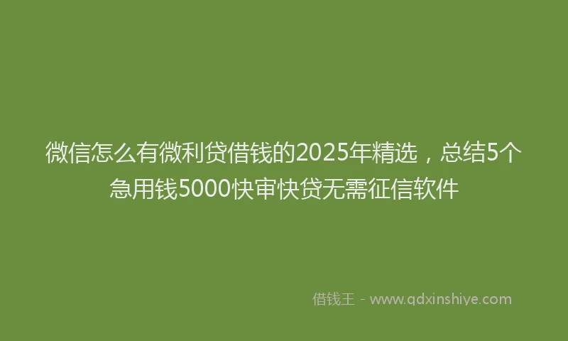 微信怎么有微利贷借钱的2025年精选，总结5个急用钱5000快审快贷无需征信软件