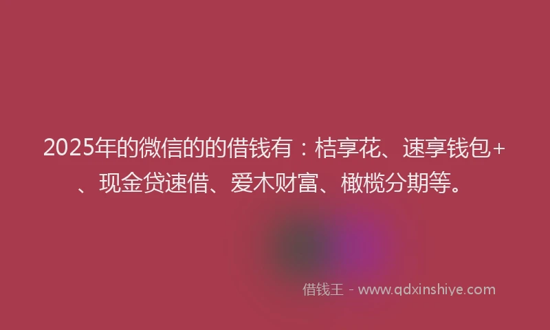 2025年的微信的的借钱有：桔享花、速享钱包+、现金贷速借、爱木财富、橄榄分期等。